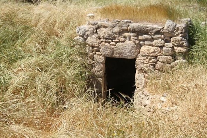 أم الشقف  / دير المحيسن  | موسوعة القرى الفلسطينية
