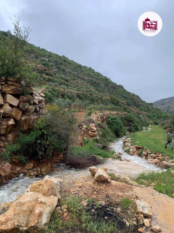 | موسوعة القرى الفلسطينية  | موسوعة القرى الفلسطينية