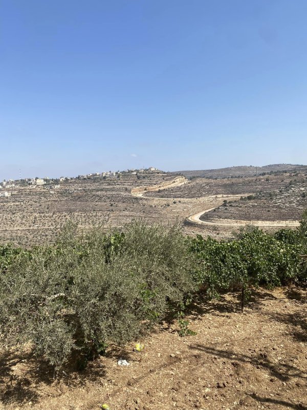 | موسوعة القرى الفلسطينية  | موسوعة القرى الفلسطينية