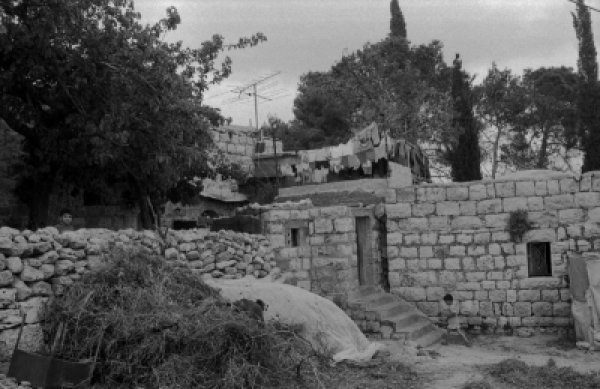 | موسوعة القرى الفلسطينية  | موسوعة القرى الفلسطينية