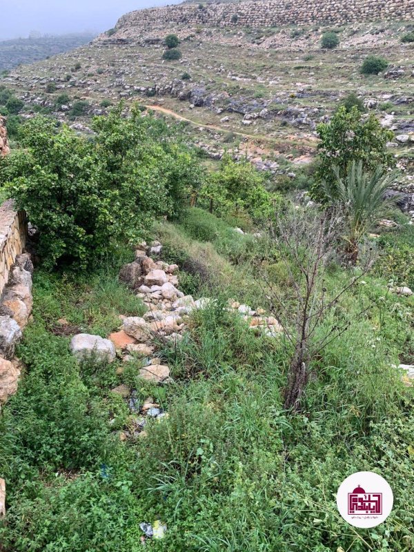 | موسوعة القرى الفلسطينية  | موسوعة القرى الفلسطينية