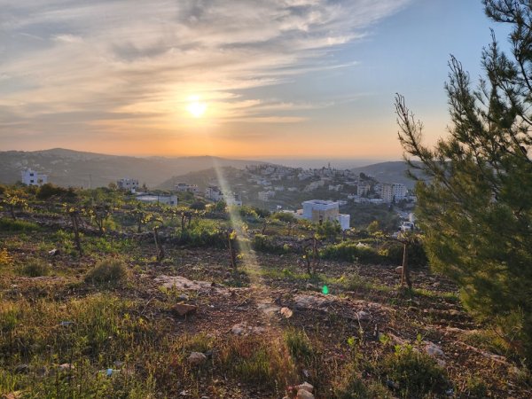 | موسوعة القرى الفلسطينية  | موسوعة القرى الفلسطينية