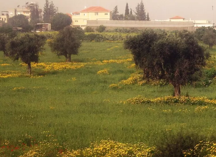  | موسوعة القرى الفلسطينية