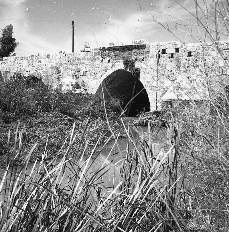  | موسوعة القرى الفلسطينية