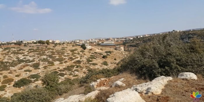 أمُّ التُوْت  | موسوعة القرى الفلسطينية