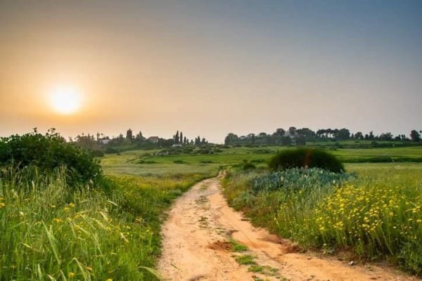  | موسوعة القرى الفلسطينية