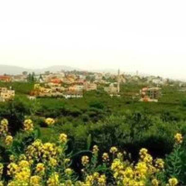  | موسوعة القرى الفلسطينية