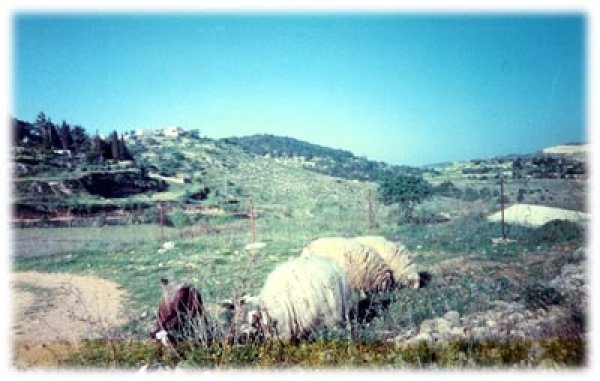 قرية شرفات / القدس