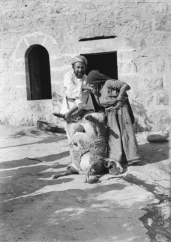 قرية شرفات / القدس، المصدر: عمر أبو البراري