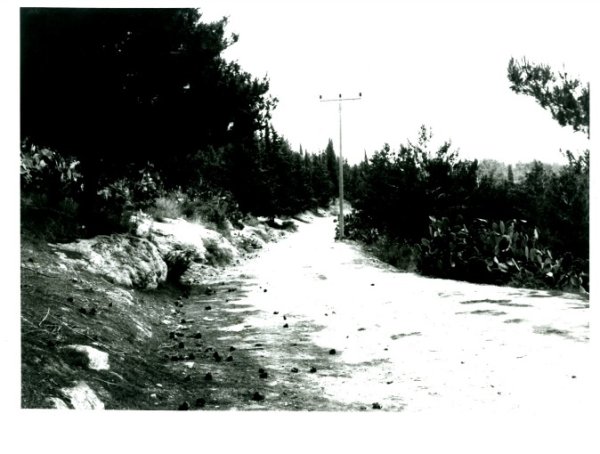  | موسوعة القرى الفلسطينية