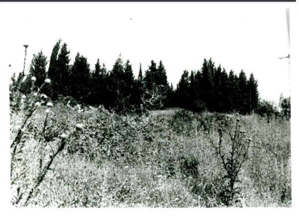  | موسوعة القرى الفلسطينية