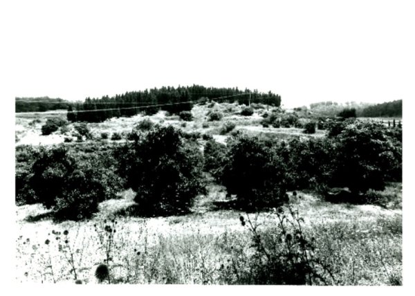  | موسوعة القرى الفلسطينية