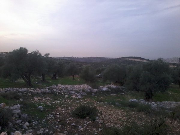  | موسوعة القرى الفلسطينية