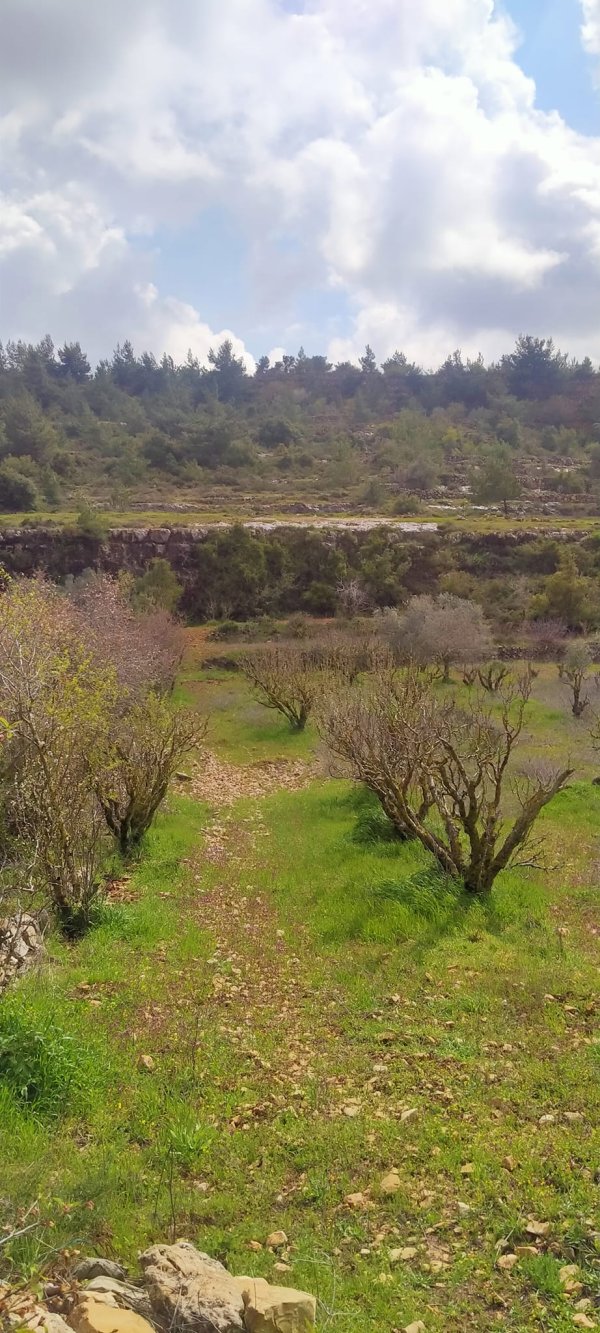  | موسوعة القرى الفلسطينية