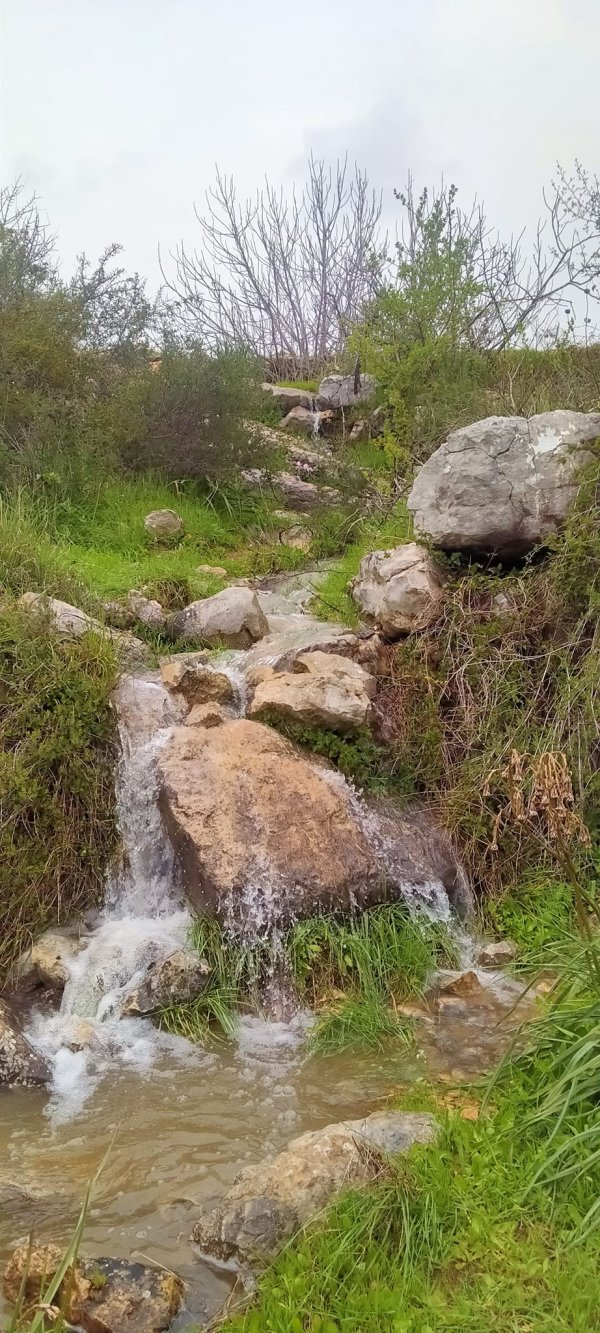  | موسوعة القرى الفلسطينية