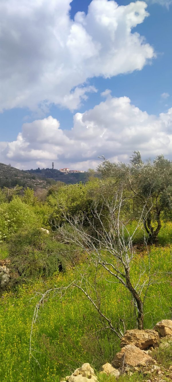  | موسوعة القرى الفلسطينية