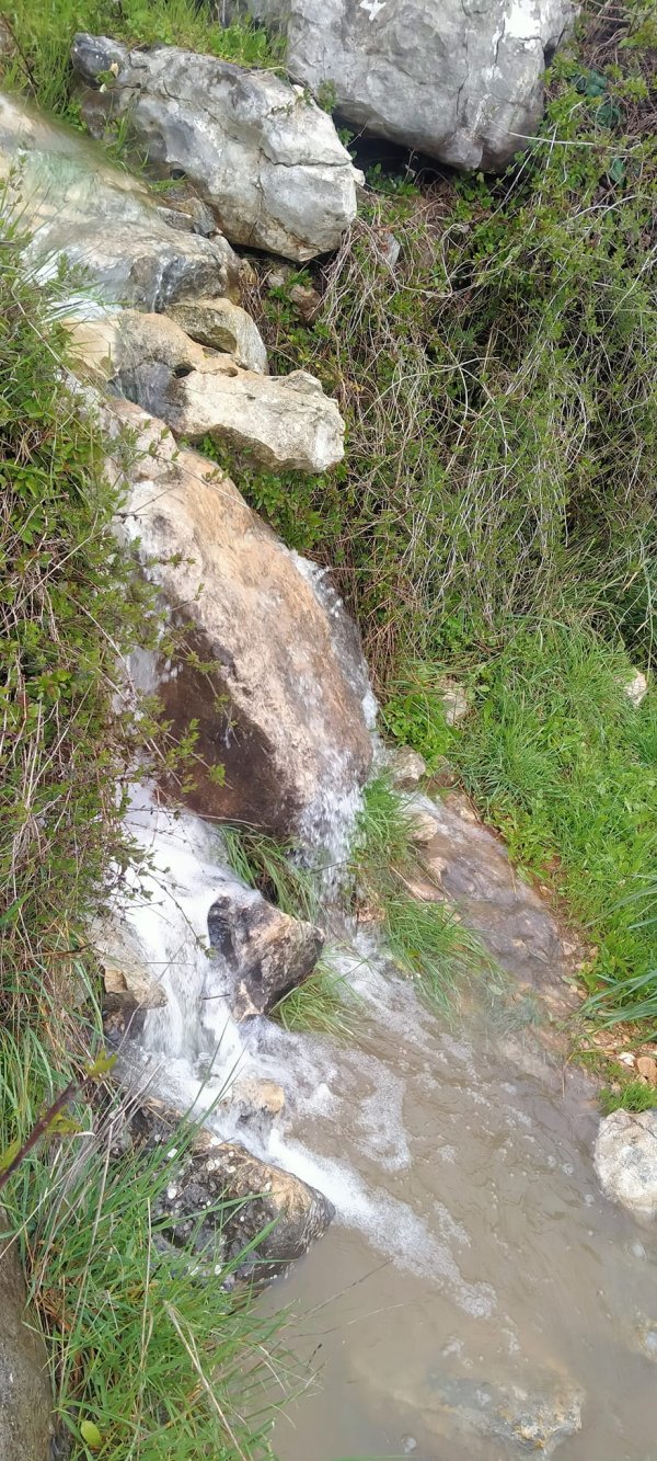  | موسوعة القرى الفلسطينية