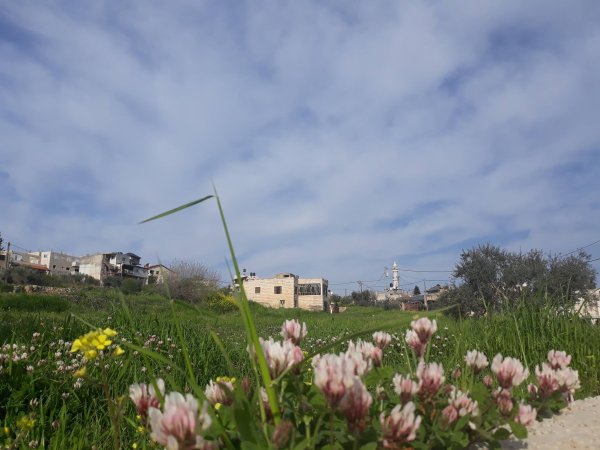  | موسوعة القرى الفلسطينية