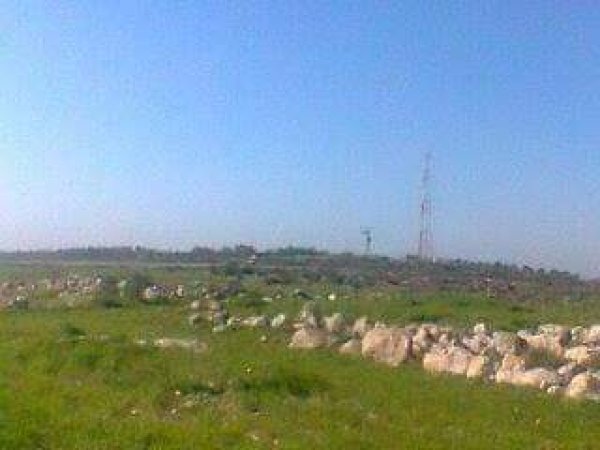 رية ذِكْرين البَرَدَان/ الخليل