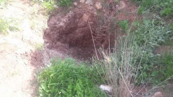 رية ذِكْرين البَرَدَان/ الخليل