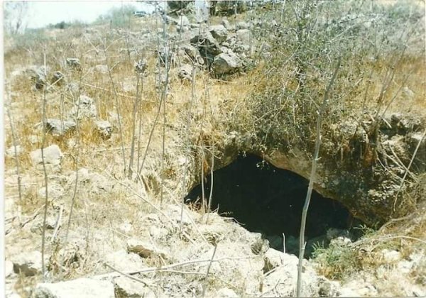 رية ذِكْرين البَرَدَان/ الخليل