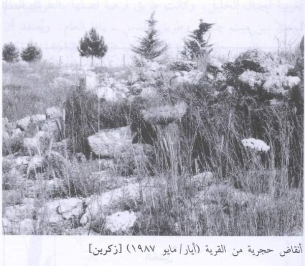 رية ذِكْرين البَرَدَان/ الخليل