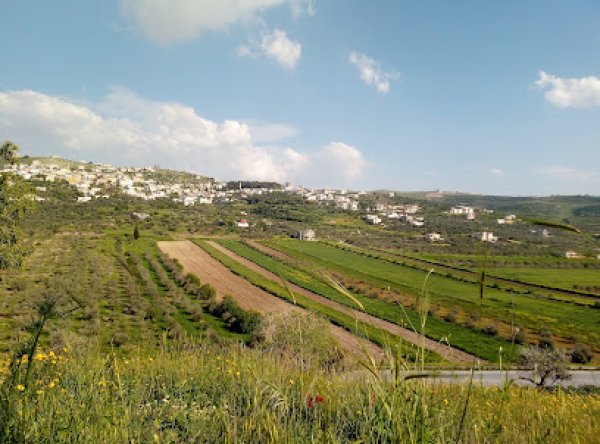  | موسوعة القرى الفلسطينية