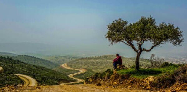  | موسوعة القرى الفلسطينية