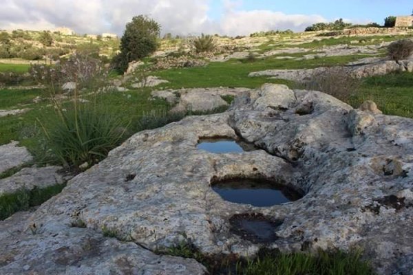  | موسوعة القرى الفلسطينية