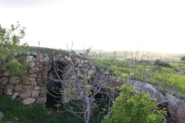  | موسوعة القرى الفلسطينية