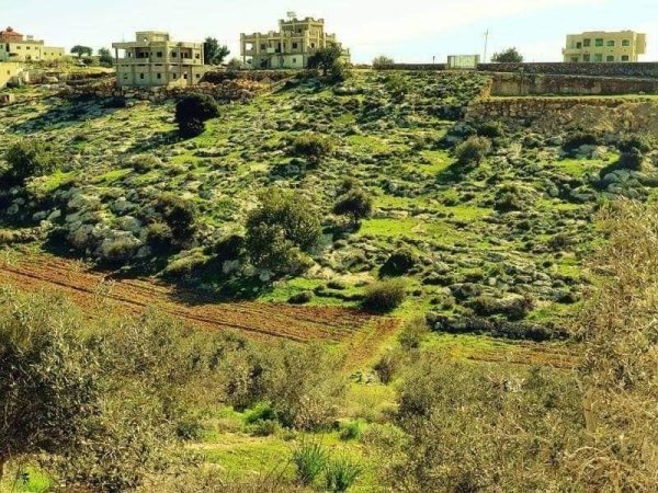  | موسوعة القرى الفلسطينية