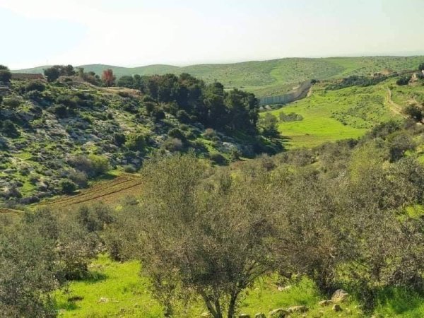  | موسوعة القرى الفلسطينية