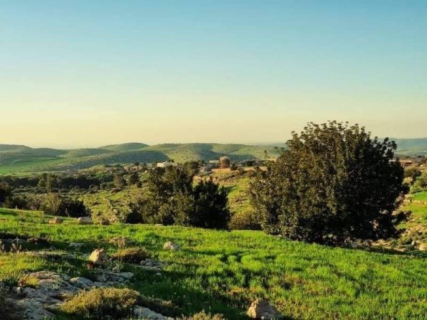  | موسوعة القرى الفلسطينية