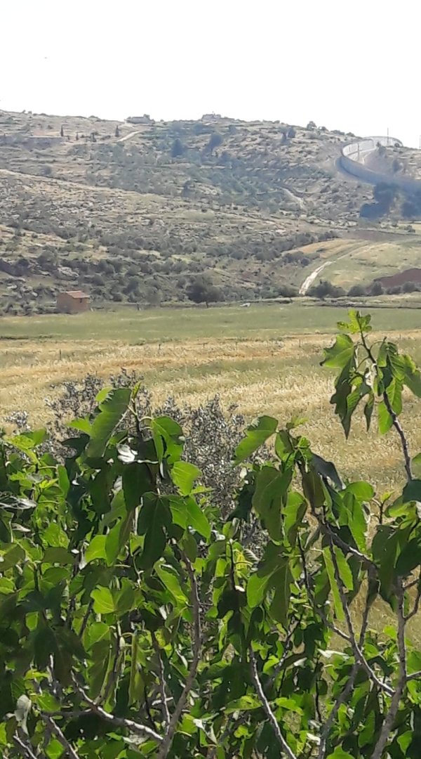  | موسوعة القرى الفلسطينية