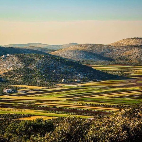  | موسوعة القرى الفلسطينية