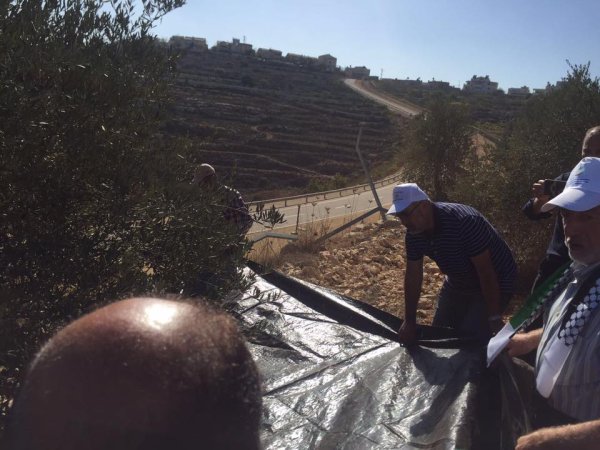  | موسوعة القرى الفلسطينية