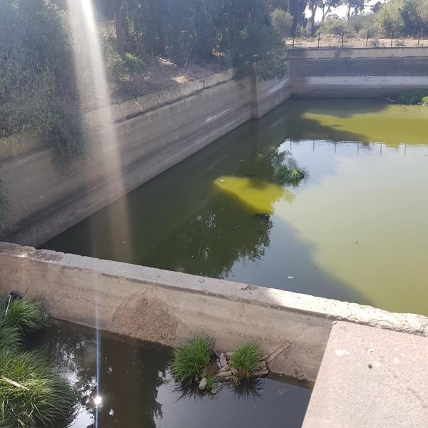  | موسوعة القرى الفلسطينية