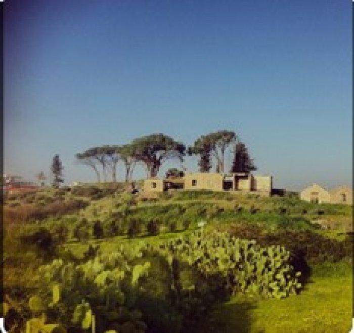 القبيبة / قبيبة / عمواس