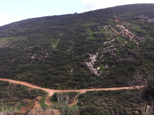 وادي الحنداج / صفد، عدسة محمد كريّم