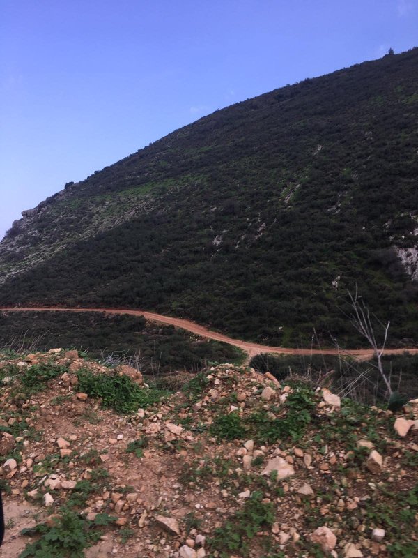 وادي الحنداج / صفد، عدسة محمد كريّم