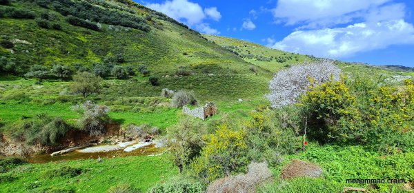 وادي الحنداج / صفد، عدسة محمد كريّم