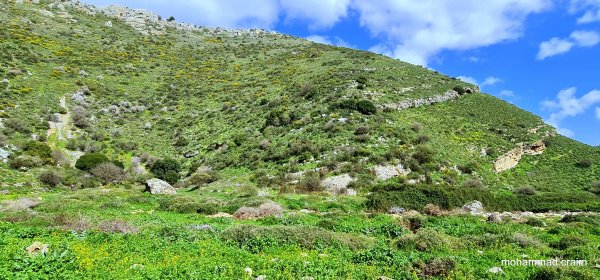 وادي الحنداج / صفد، عدسة محمد كريّم