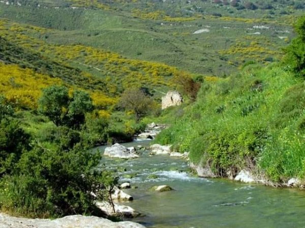 وادي الحنداج / صفد، عدسة محمد كريّم