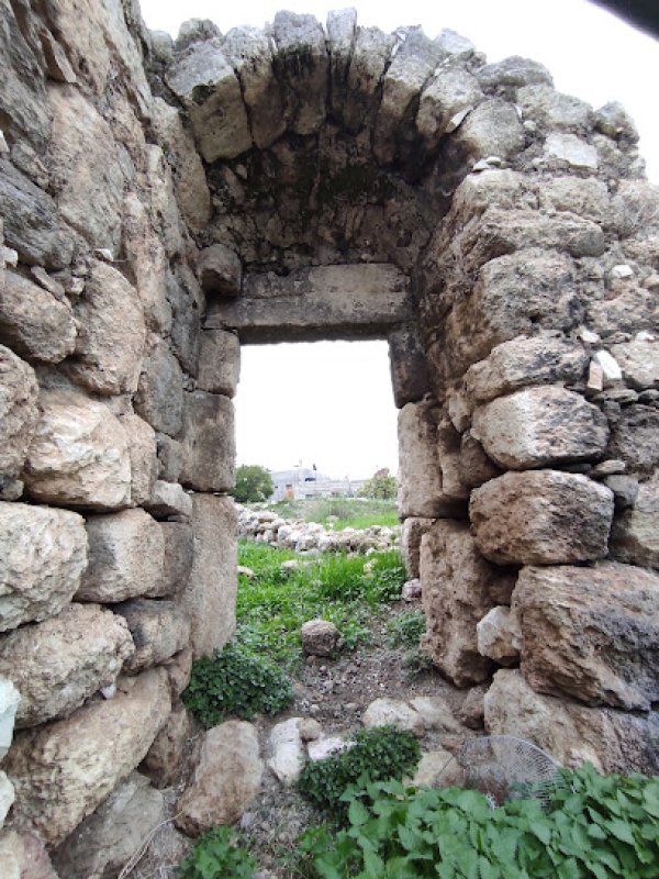 قرية بلعين / رام الله