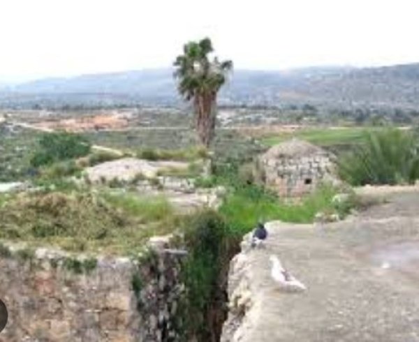 قرية بلعين / رام الله