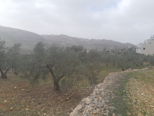  | موسوعة القرى الفلسطينية