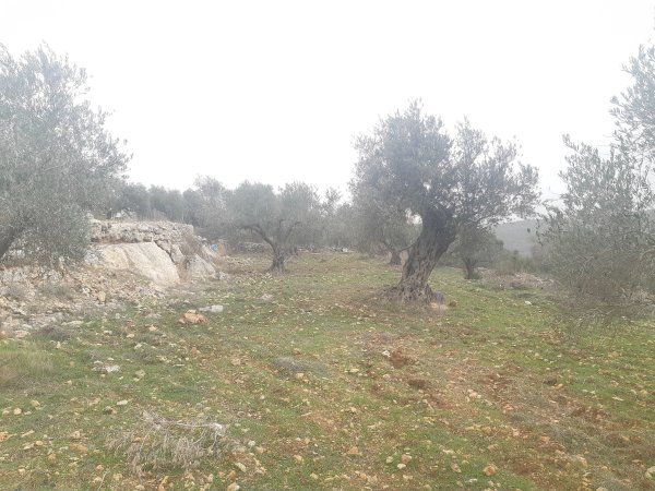  | موسوعة القرى الفلسطينية