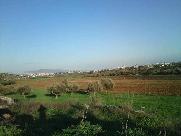  | موسوعة القرى الفلسطينية