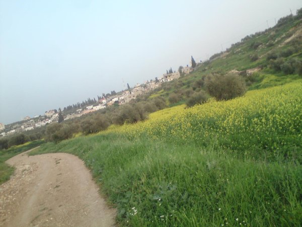  | موسوعة القرى الفلسطينية