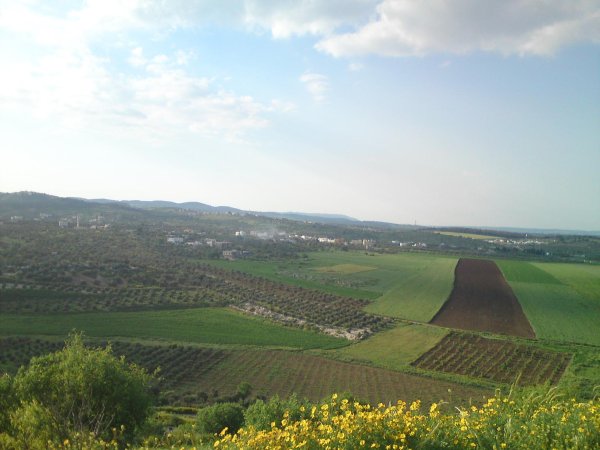  | موسوعة القرى الفلسطينية